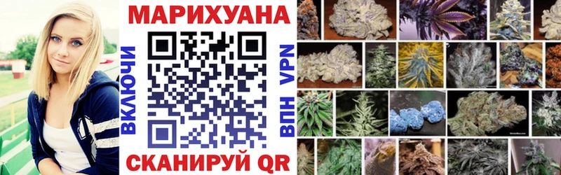 где можно купить наркотик Рыбное Бошки Шишки Bruce Banner